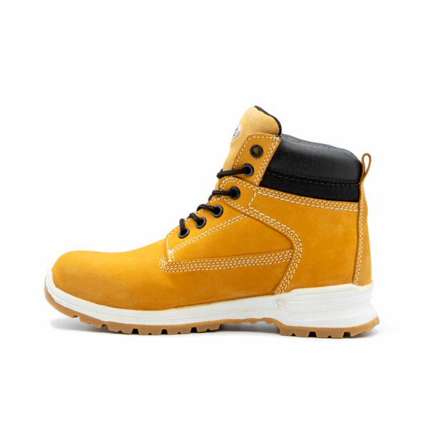 bota lavoro s3